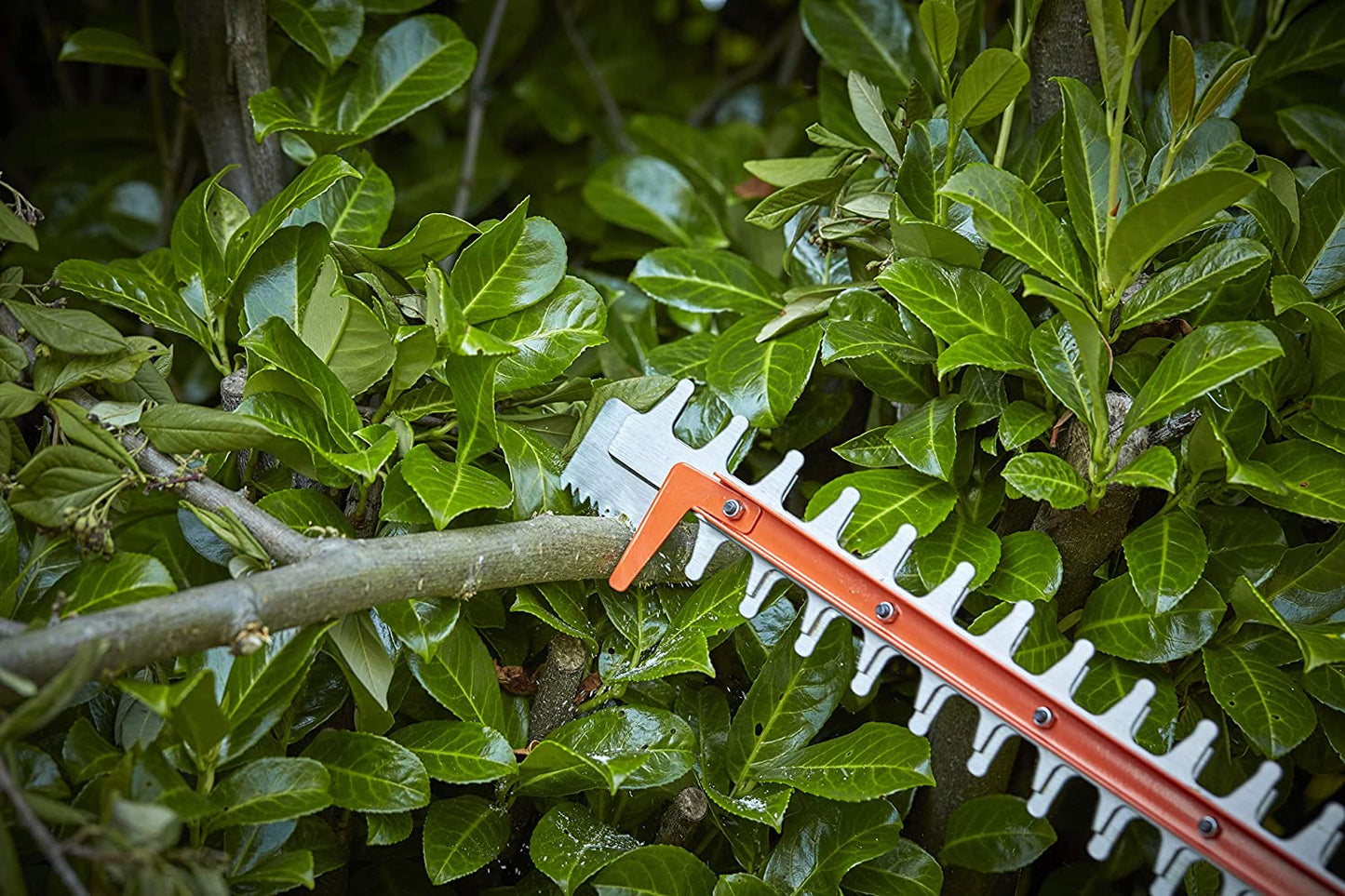 BLACK+DECKER BCHTS3625L1 Akku-Heckenschere POWERCOMMAND™ 36V - 2,5Ah Li-ion mit SAWBLADE™ Doppel Klinge 55cm